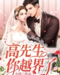 高先生你越界了 小妖