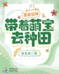 灵泉空间带着萌宝去种田免费