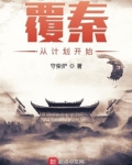 覆秦从计划开始