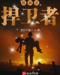 抗战之捍卫者小说