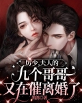 厉少,夫人的九个哥哥又在催离婚了免费阅读