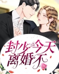 封少离婚请放手