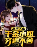 千金小姐穷小子小说