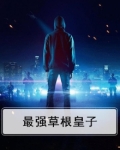 最强草根太子小说