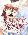天降四宝宠妈咪全文