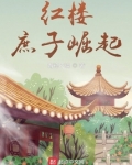 红楼：庶子崛起