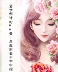 爱情倒计时99天：总裁前妻不幸中招