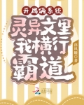 开局双系统 小说
