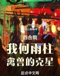 四合院:我是何雨住