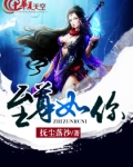小说,至尊