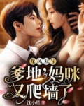 龙凤双宝:爹地,妈咪又爬墙了 小说