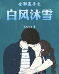 全职高手之风云