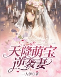 天降萌宝宠妻太甜