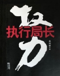 执行局长