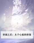 穿越的太子妃小说