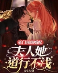 豪门顶级婚配,夫人她道行不浅
