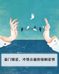 豪门闪婚:霸道总裁强制爱 小说