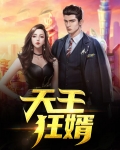 天王狂婿免费阅读