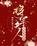 将军夫人又在装柔弱第几章成亲