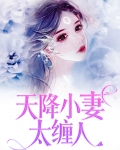天降小妻霸道宠免费阅读全文2484