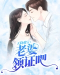 天降萌娃老婆是当红明星