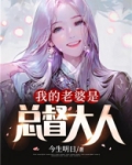 我的老婆是总督大人陈东有多少老婆