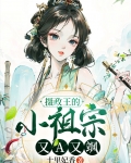 摄政王的小祖宗又野了
