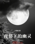 夜幕下的精灵是什么意思啊