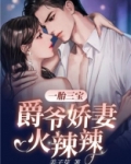 第一婚宠:爵爷总是套路我