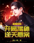 直播探险小说
