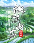 桃源山庄无弹窗全文阅读