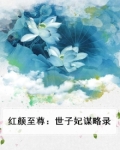 红颜至尊：世子妃谋略录