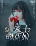 夜半冥婚鬼王的新娘 小说