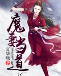 魔师小说妻如针