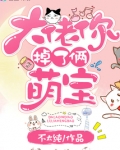 大佬你掉了两个萌宝