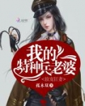 独宠狂妻:我的特种兵老婆