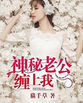 神秘老公花式宠全文免费阅读