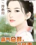 霸气总裁,不屈妻小说