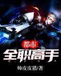 都市全职高手 小说