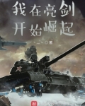 我在亮剑开始当战狼