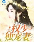 权少的独宠宝贝