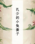 孔少的小兔妻子