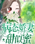病态娇妻甜似蜜