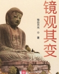镜观其变
