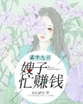重生九五:嫂子忙赚钱