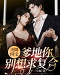 天降四宝：爹地你别想求复合
