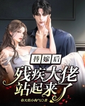 替嫁后，残疾大佬站起来了