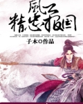 精忠报国全集