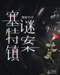 赛特关卡
