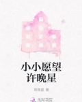小小愿望讲的是什么